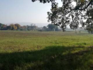 Terreno agricolo all'asta a montecassiano località san liberato