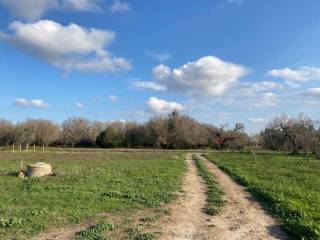 Terreno agricolo all'asta a san donaci sp365