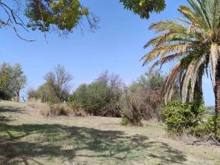 Terreno agricolo in vendita a siracusa traversa frescura s.n.c.