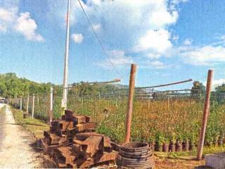 Terreno agricolo all'asta a carassai contrada sabbione