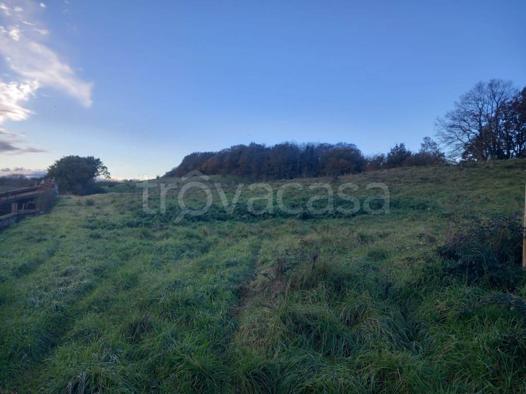 immagine annuncio 8 di 12