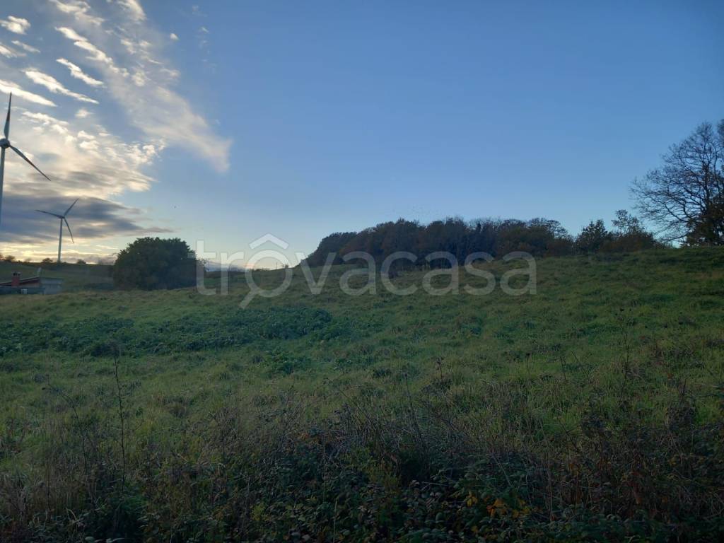 immagine annuncio 10 di 12