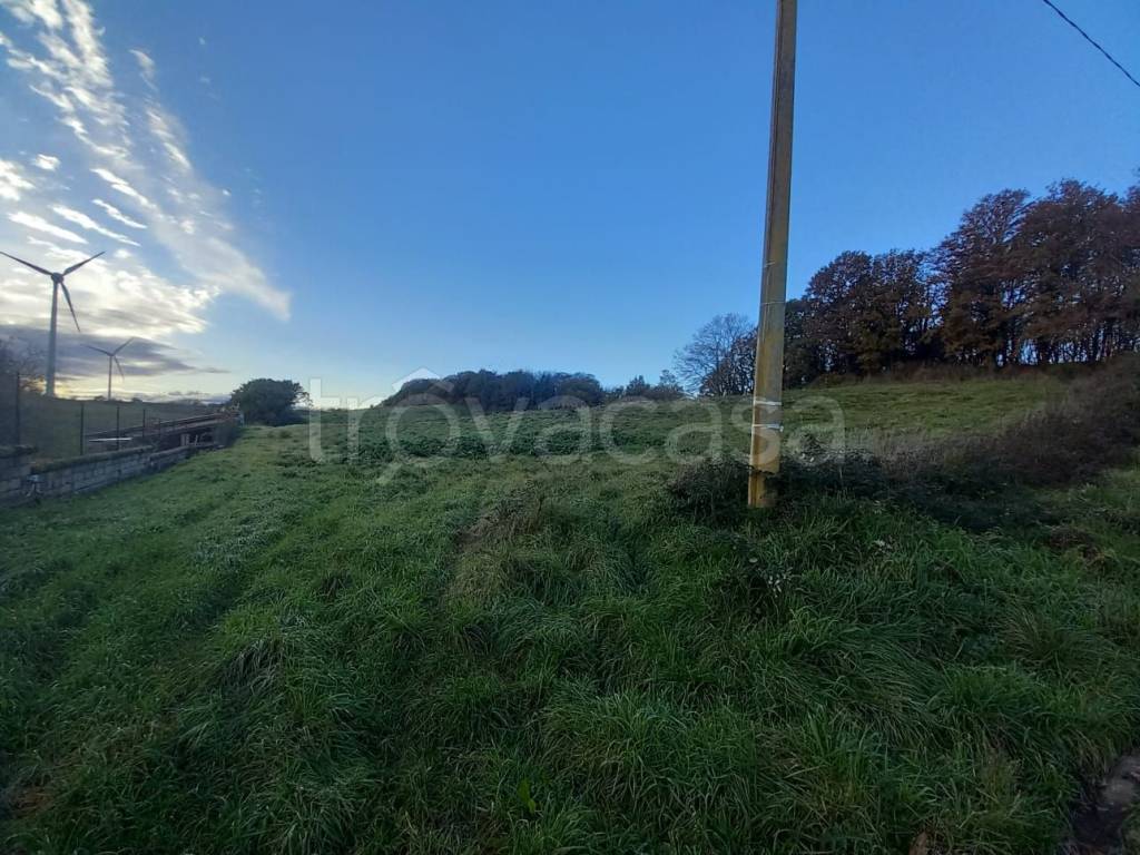 immagine annuncio 11 di 12