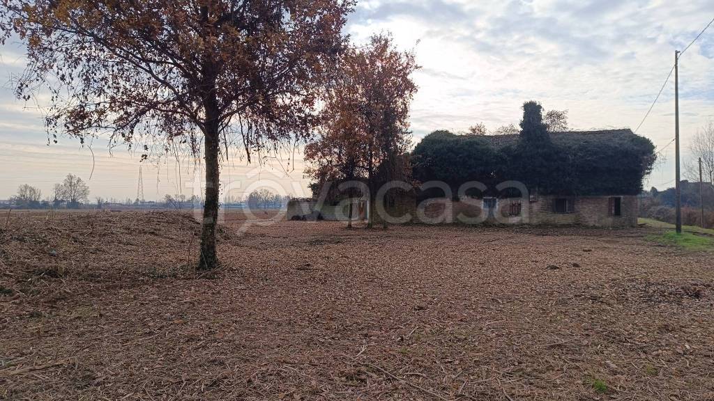 immagine annuncio 4 di 14