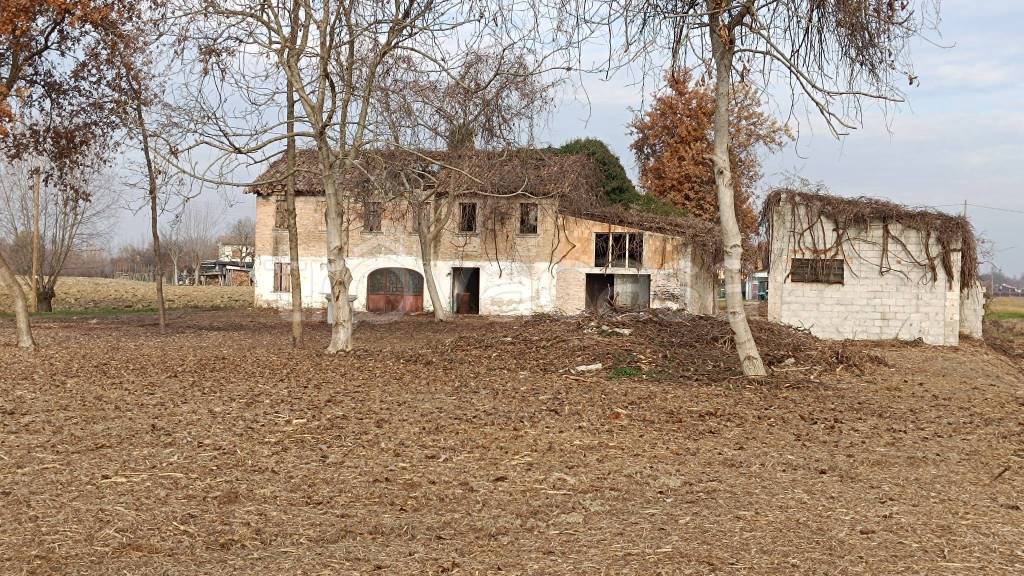 immagine annuncio 10 di 14