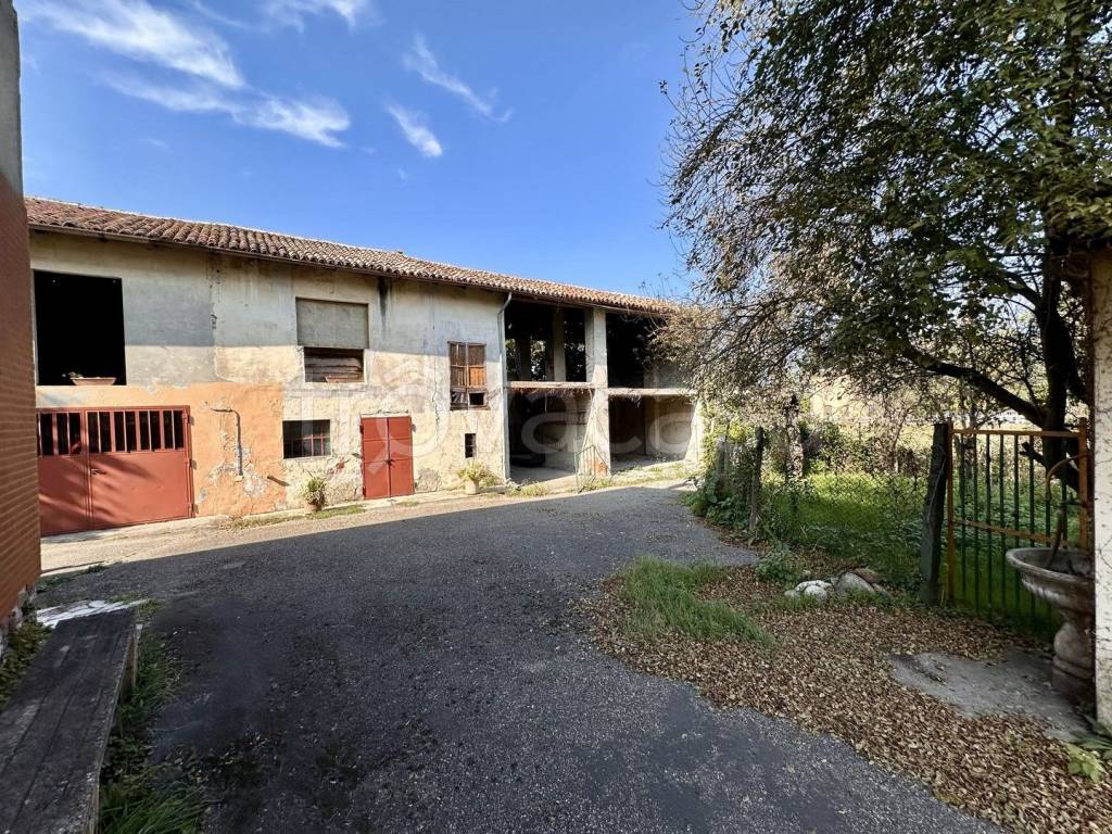 immagine annuncio 11 di 15