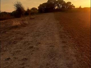 Terreno agricolo in vendita a nettuno via cadolino, 75