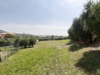 Terreno residenziale all'asta a monte urano via fonte murata