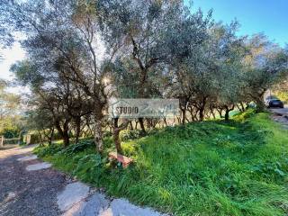 Terreno residenziale in vendita a massarosa via di casesi