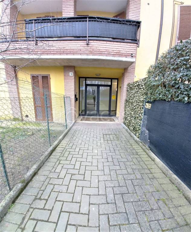 immagine annuncio 1 di 15