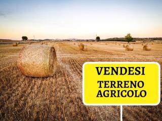 Terreno agricolo in vendita a baronissi 