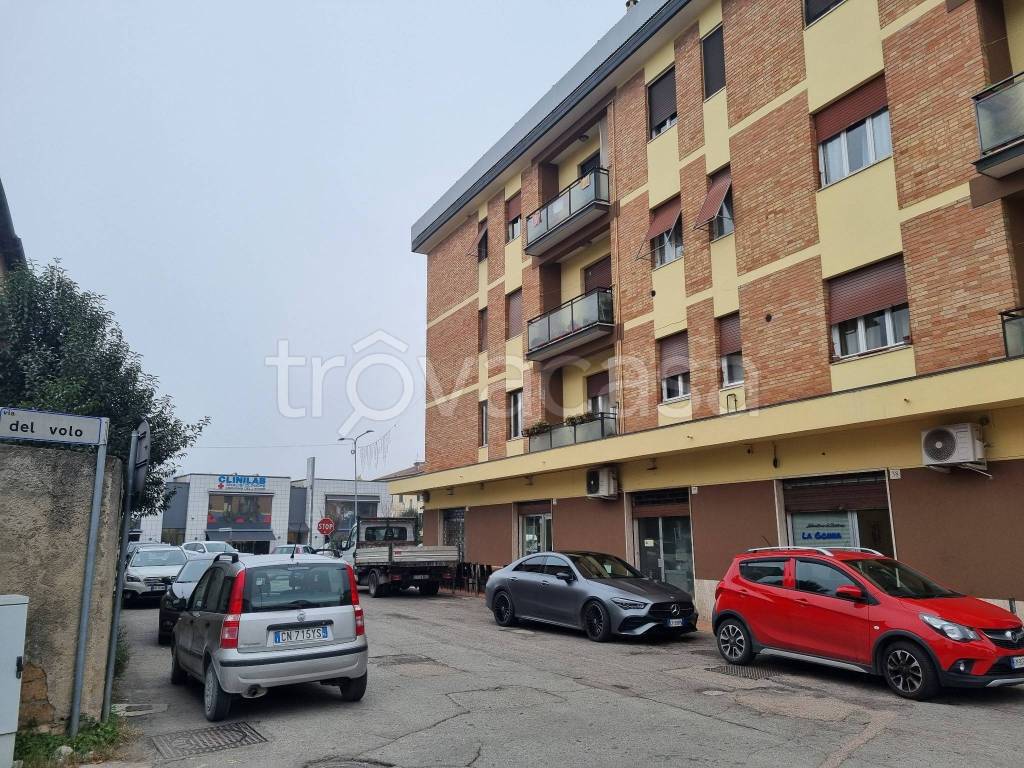 immagine annuncio 1 di 8