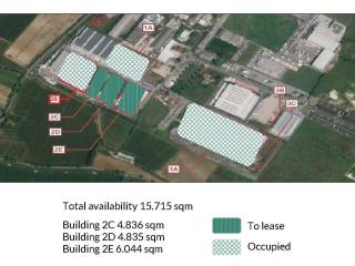 Magazzino in affitto a nogarole rocca 