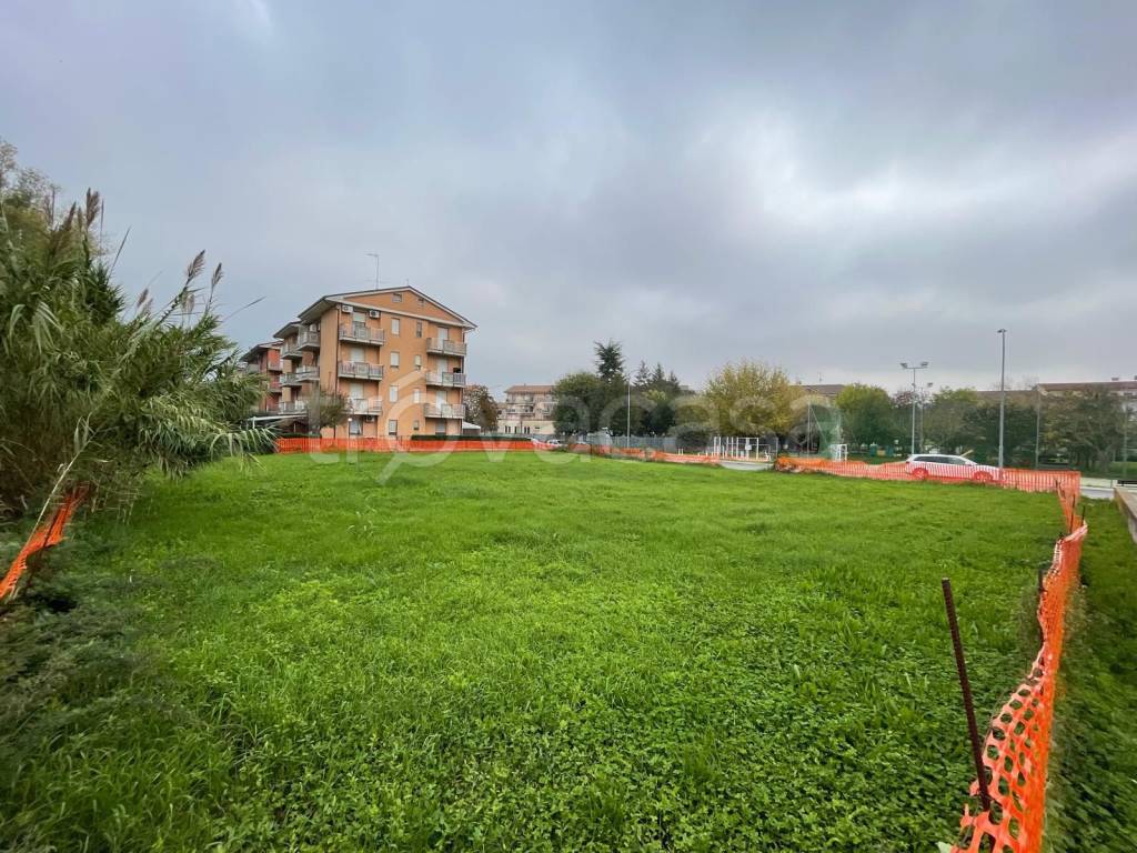 immagine annuncio 9 di 10