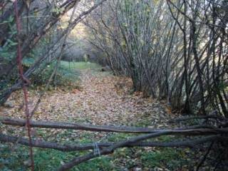 Terreno agricolo in vendita a lovere via carassone