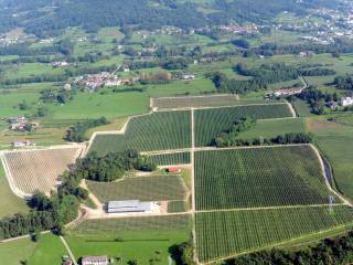 Terreno agricolo in vendita a cesiomaggiore via calliol, 28