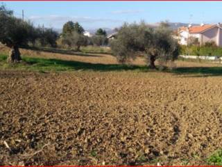 Terreno residenziale all'asta a castiglione messer raimondo contrada piani