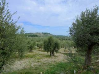 Terreno agricolo all'asta a vieste contrada marchionna