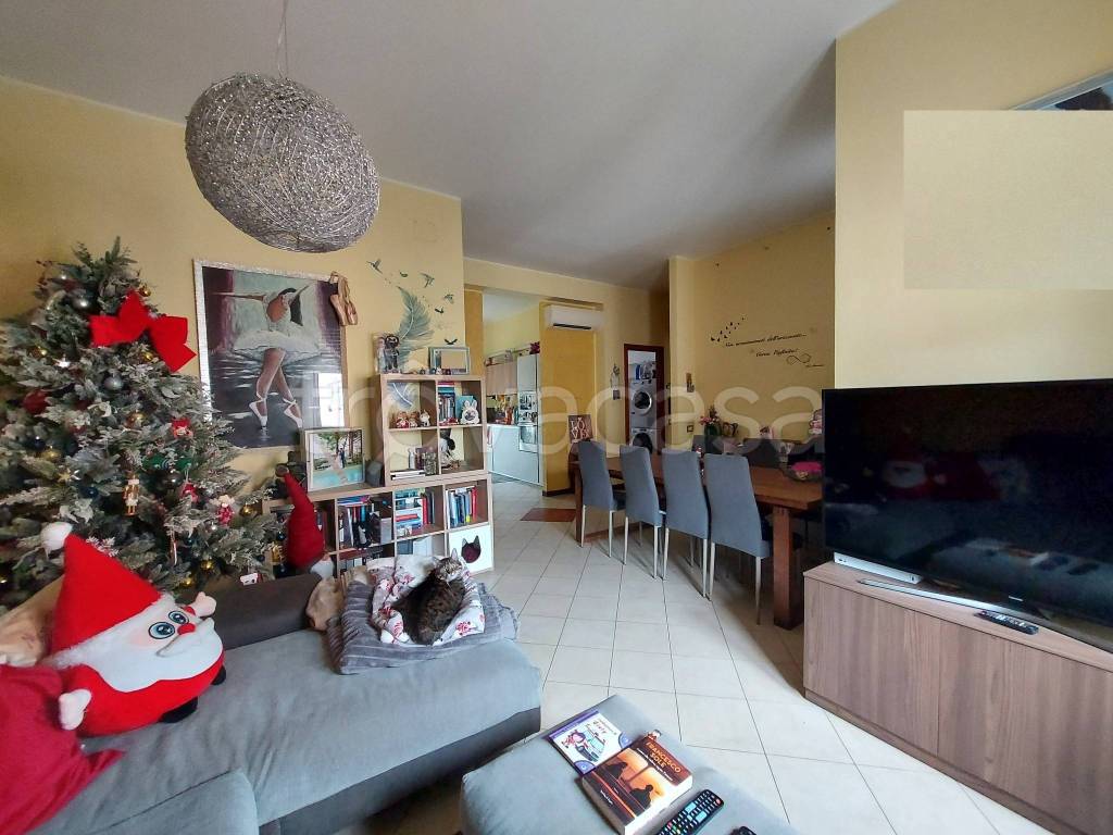 immagine annuncio 6 di 15