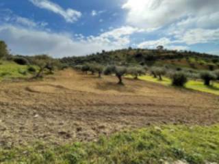 Terreno agricolo all'asta a gela sp31