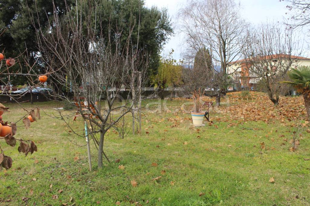 immagine annuncio 1 di 7
