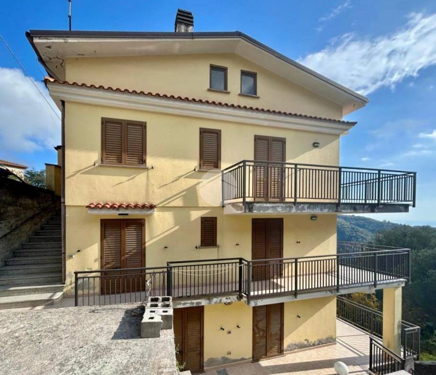 immagine annuncio 3 di 12