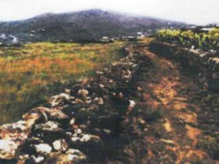 Terreno agricolo all'asta a pantelleria via scirafi