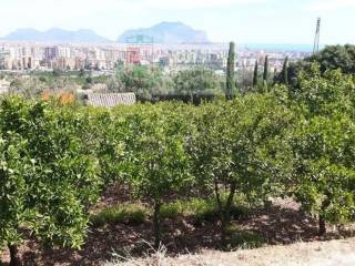 Terreno agricolo in vendita a palermo casale delle casuzze s.n.c.