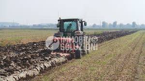 Terreno agricolo in vendita a caravaggio vidalengo