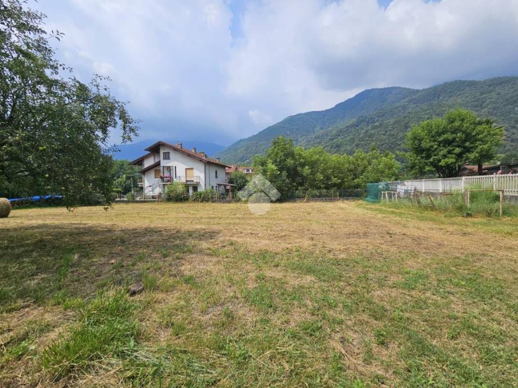 immagine annuncio 1 di 4