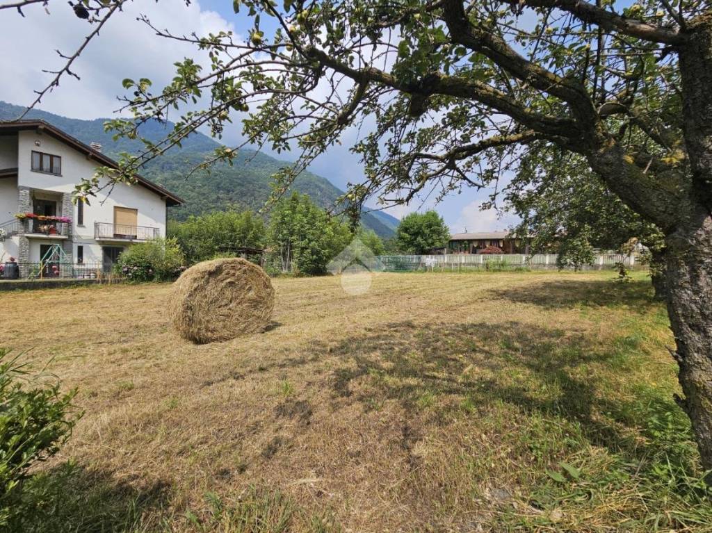 immagine annuncio 2 di 4