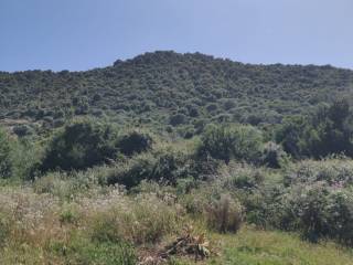 Terreno agricolo in vendita a budoni via enea