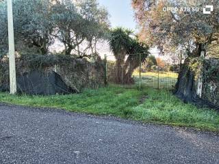 Terreno agricolo in vendita a lanuvio via del sambuco