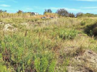 Terreno agricolo all'asta a torregrotta ss113