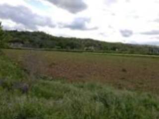 Terreno agricolo all'asta a civitella in val di chiana via dell'esse