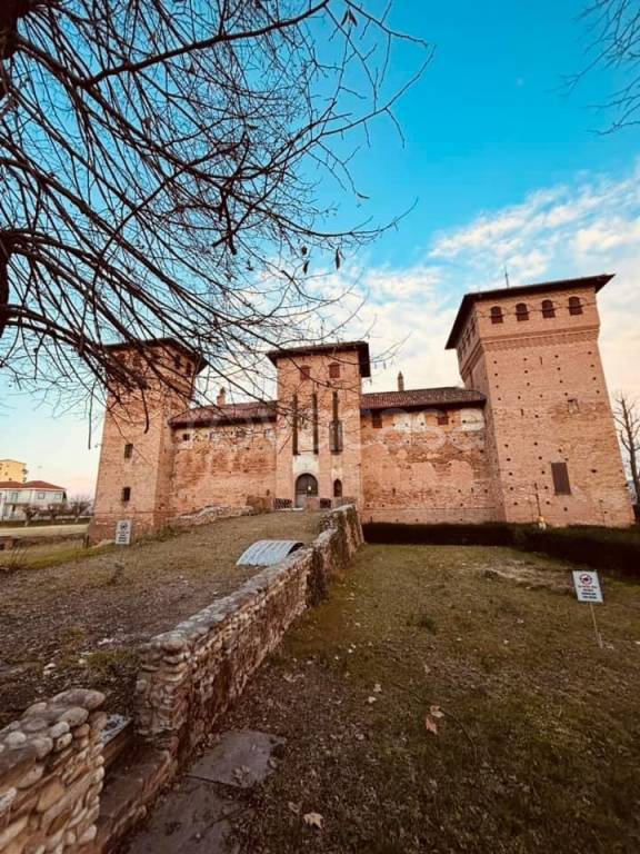 immagine annuncio 14 di 15
