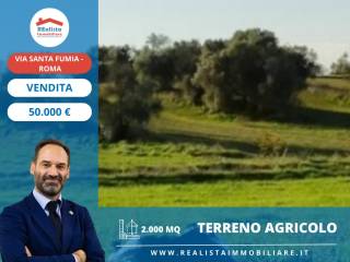 Terreno agricolo in vendita a roma via di santa fumia