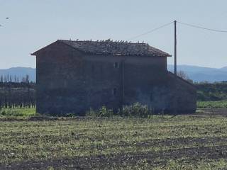 Colonica in vendita a lugo 