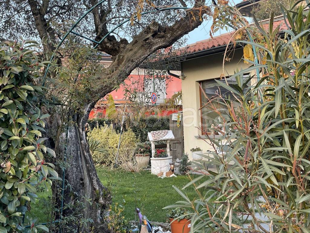 immagine annuncio 1 di 15