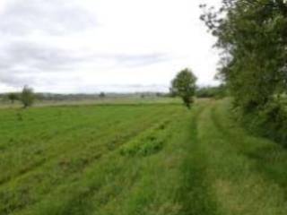 Terreno agricolo all'asta a civitella in val di chiana via del gargaiolo