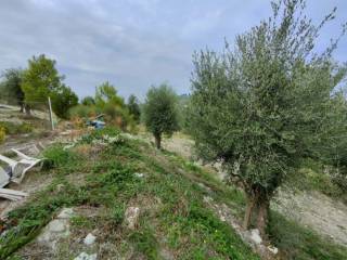 Terreno agricolo all'asta a vieste strada vicinale macchia pastinella