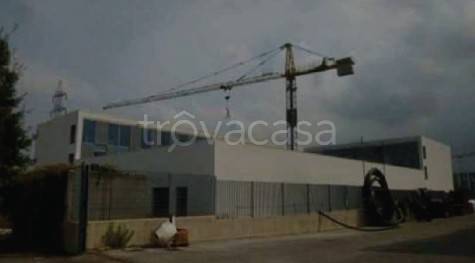 immagine annuncio 9 di 11