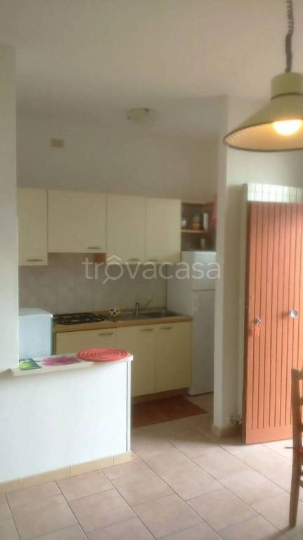 immagine annuncio 4 di 14