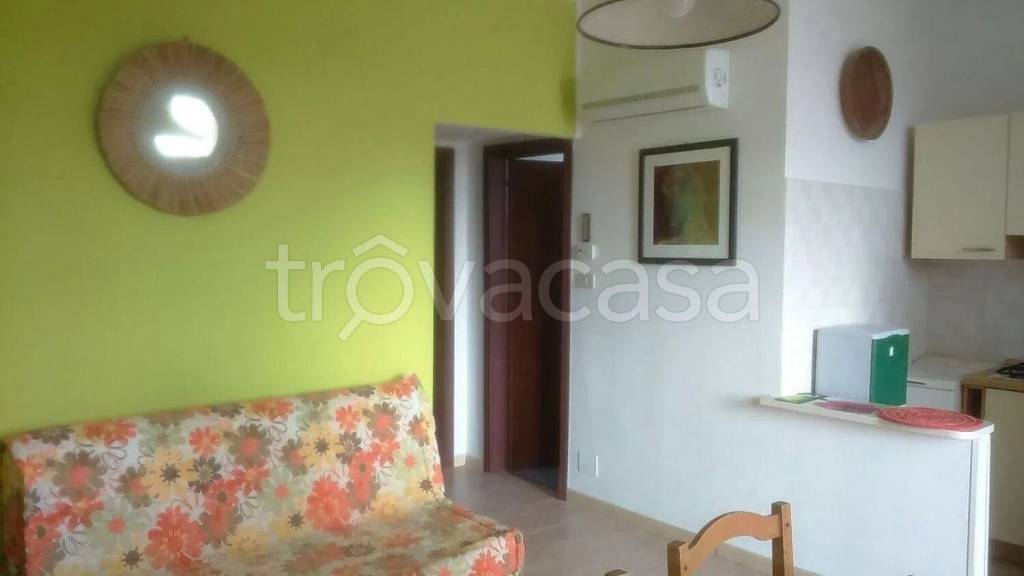 immagine annuncio 9 di 14