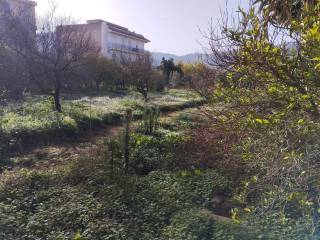 Terreno agricolo in vendita a palermo via galletti, 275