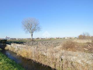 Terreno agricolo in vendita a musile di piave via cooperative