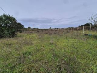 Terreno agricolo in vendita a selargius 