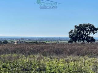 Terreno residenziale in vendita a montalto di castro località cacciata grande