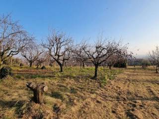 Terreno agricolo in vendita a pianezze 