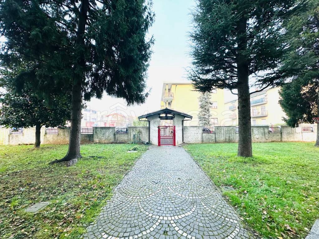 immagine annuncio 1 di 15